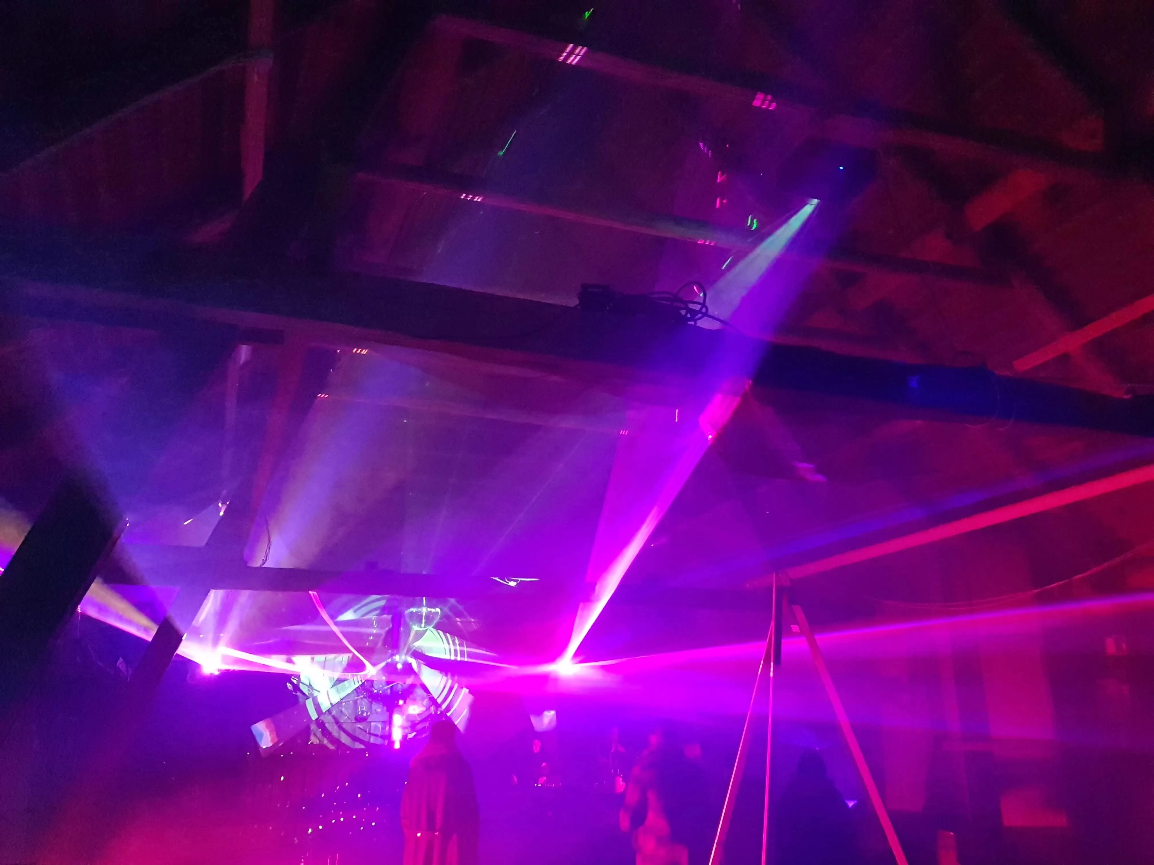 Veloklang 2019: Just some Animals on a Farm, going supernova