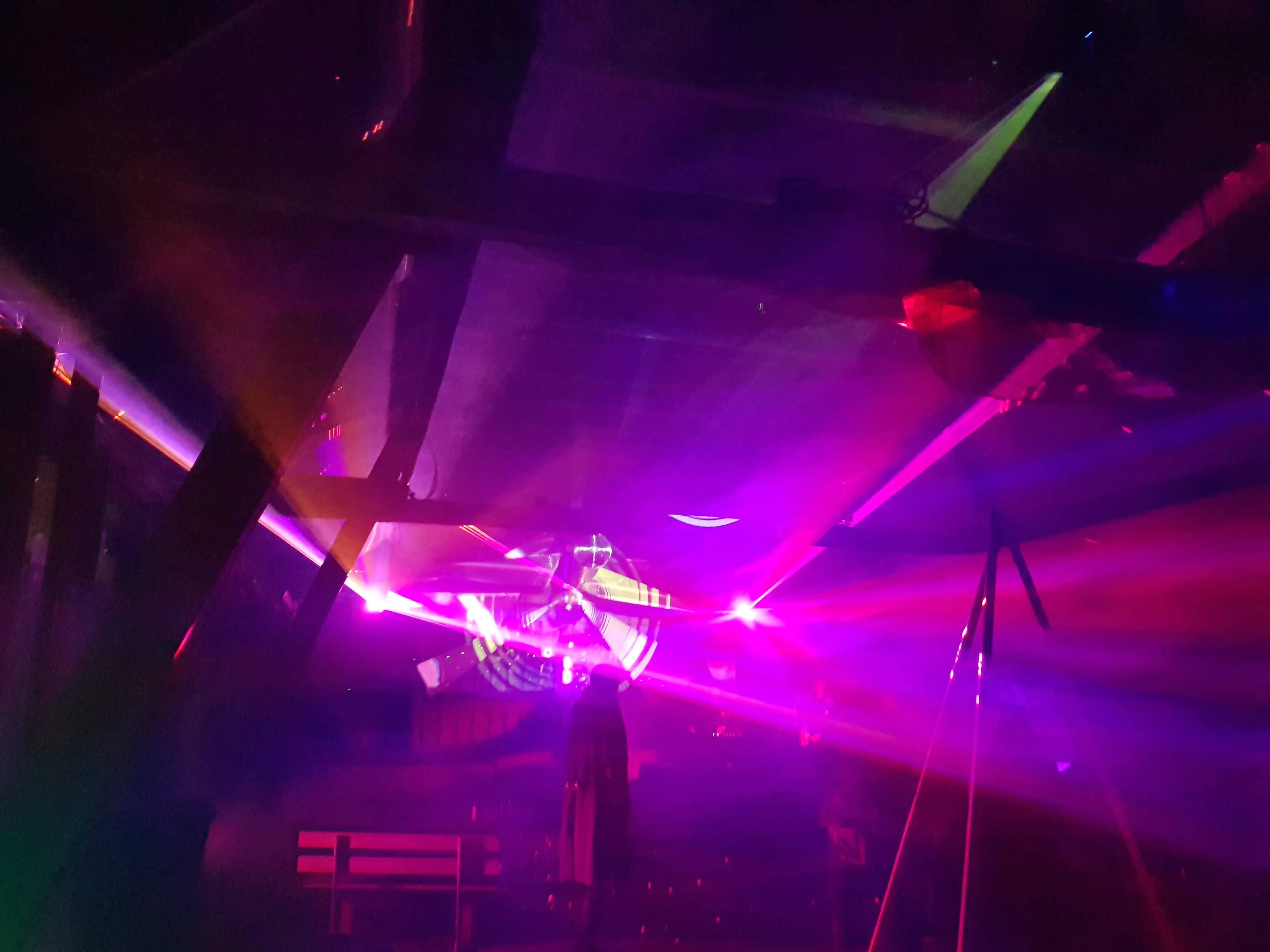 Veloklang 2019: Just some Animals on a Farm, going supernova