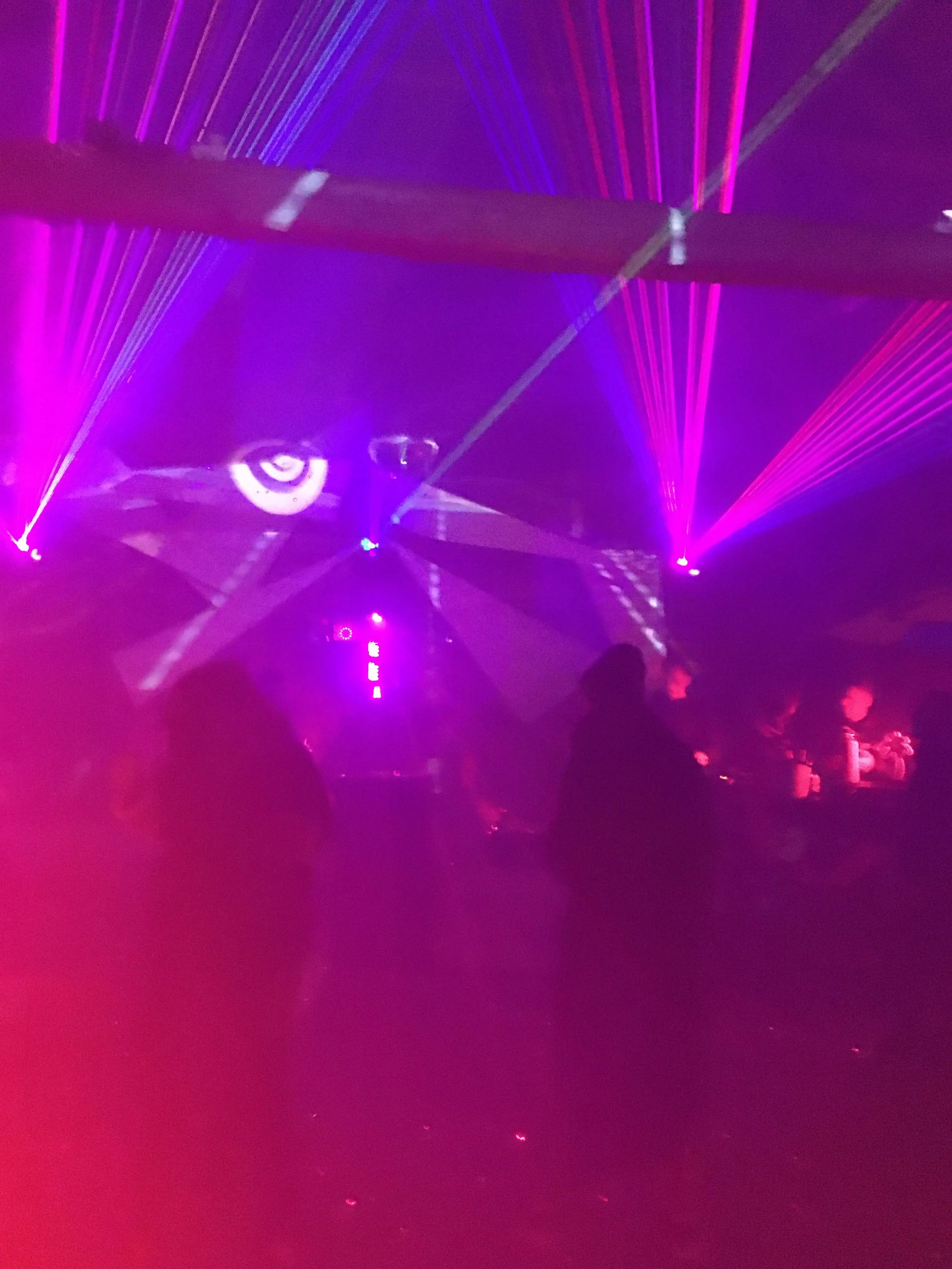 Veloklang 2019: Just some Animals on a Farm, going supernova