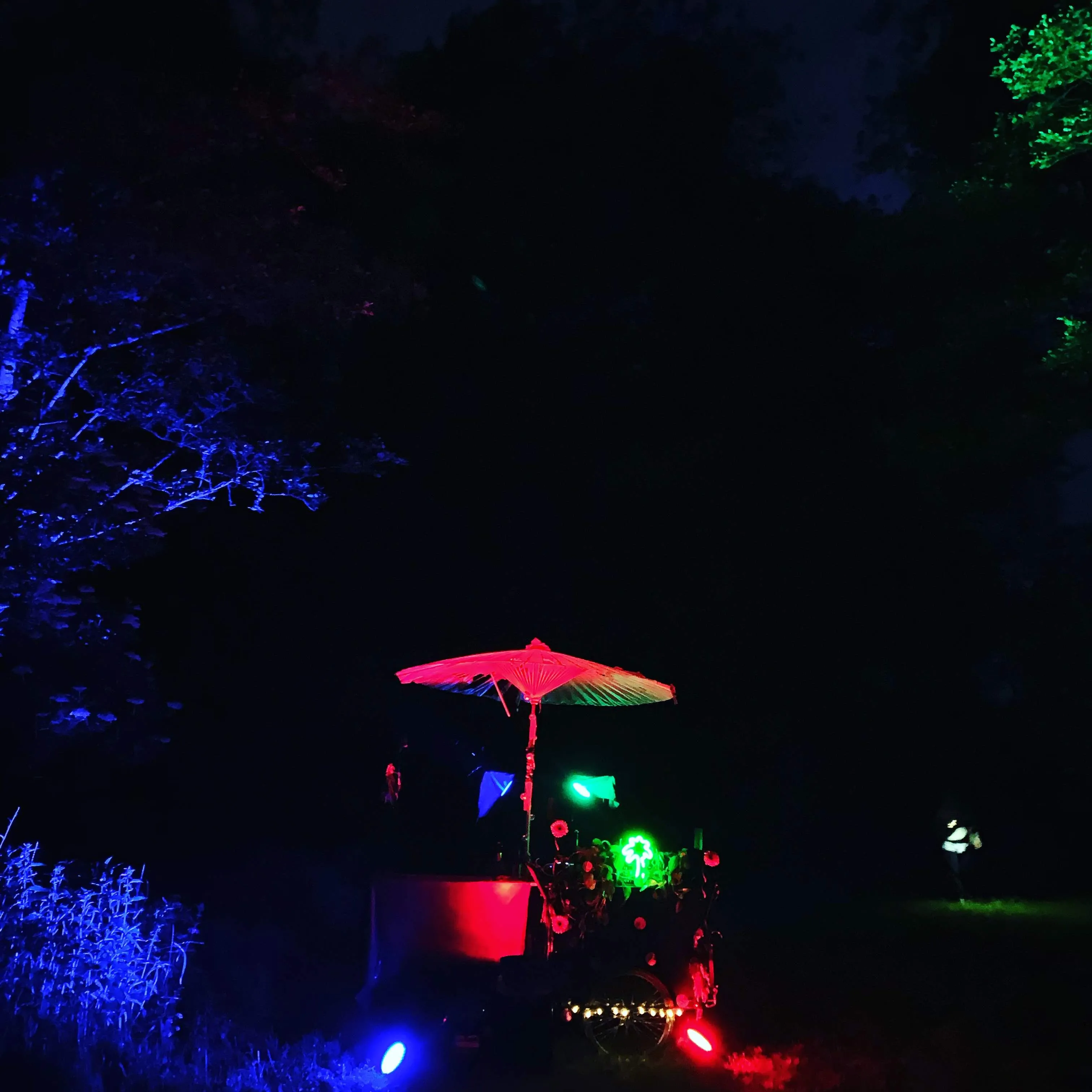 Veloklang 2019: Mossagårdsfesten 04